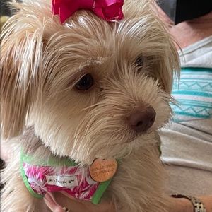 Hip doggie floral dress